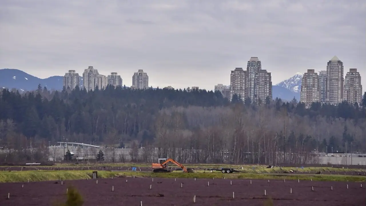 Edmonds Burnaby Guide in Burnaby BC
